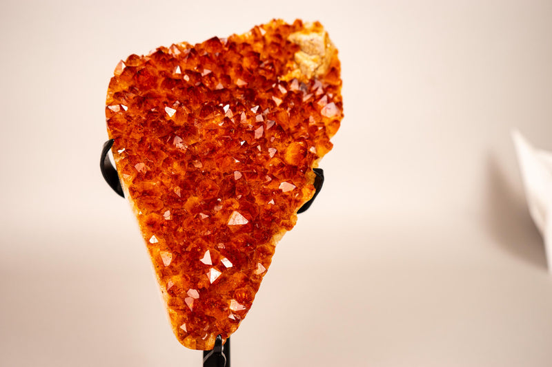 Natural Madeira Citrine Cluster with Rare, AAA - Grade Red Orange Citrine - E2D Crystals & Minerals