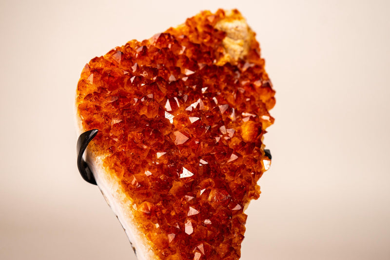 Natural Madeira Citrine Cluster with Rare, AAA - Grade Red Orange Citrine - E2D Crystals & Minerals