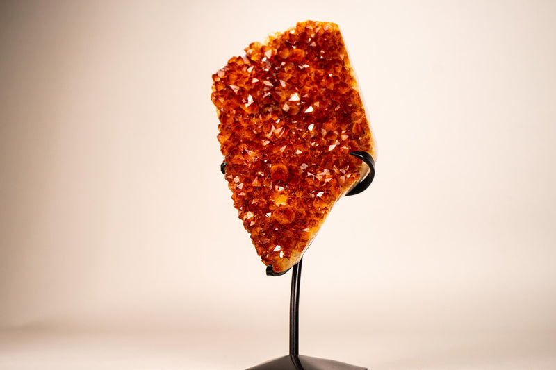 Natural Madeira Citrine Cluster with Rare, AAA - Grade Red Orange Citrine - E2D Crystals & Minerals