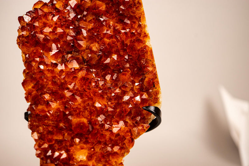 Natural Madeira Citrine Cluster with Rare, AAA - Grade Red Orange Citrine - E2D Crystals & Minerals