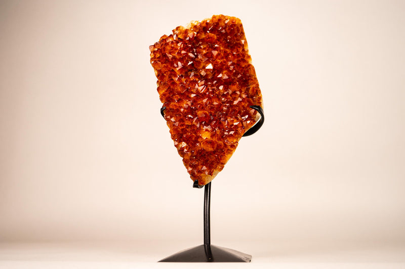 Natural Madeira Citrine Cluster with Rare, AAA - Grade Red Orange Citrine - E2D Crystals & Minerals