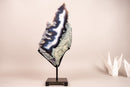 Moss, Blue & White Banded Agate Geode Slice with a Crocodile Drawing - E2D Crystals & Minerals