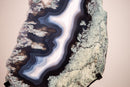 Moss, Blue & White Banded Agate Geode Slice with a Crocodile Drawing - E2D Crystals & Minerals