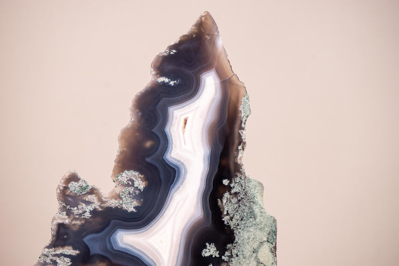 Moss, Blue & White Banded Agate Geode Slice with a Crocodile Drawing - E2D Crystals & Minerals