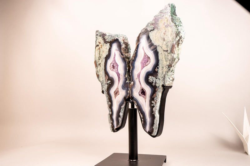 Rare Moss, Blue & White Banded Agate Geode Butterfly Wings - E2D Crystals & Minerals