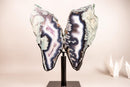 Rare Moss, Blue & White Banded Agate Geode Butterfly Wings - E2D Crystals & Minerals