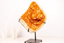 Citrine Crystal Cluster with Rare Stalactite Flower Formation - E2D Crystals & Minerals