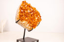 Natural Citrine Cluster with AAA - Grade Orange Druzy on Stand - E2D Crystals & Minerals