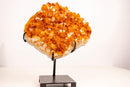 Natural Citrine Cluster with AAA - Grade Orange Druzy on Stand - E2D Crystals & Minerals