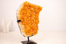Yellow Citrine Cluster with Deep Yellow Citrine Druzy - E2D Crystals & Minerals