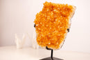 Yellow Citrine Cluster with Deep Yellow Citrine Druzy - E2D Crystals & Minerals