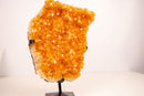 Yellow Citrine Cluster with Deep Yellow Citrine Druzy - E2D Crystals & Minerals
