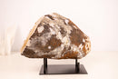 All - Natural Citrine Geode Cave with Orange Citrine Points - E2D Crystals & Minerals