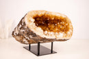 All - Natural Citrine Geode Cave with Orange Citrine Points - E2D Crystals & Minerals