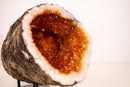 All - Natural Citrine Geode Cave with Sparkling Fiery Orange Druzy - E2D Crystals & Minerals