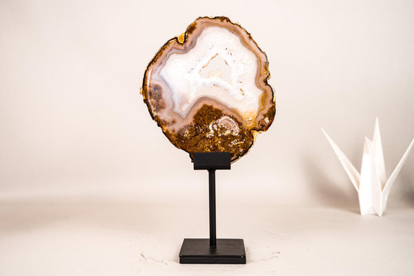 Rare Natural Lace Agate Slice with Clear Quartz and Moss Agate Drawings, Intact, Undyed, on Display 8 In - 930g From Soledade, Brazil - E2D Crystals & Minerals