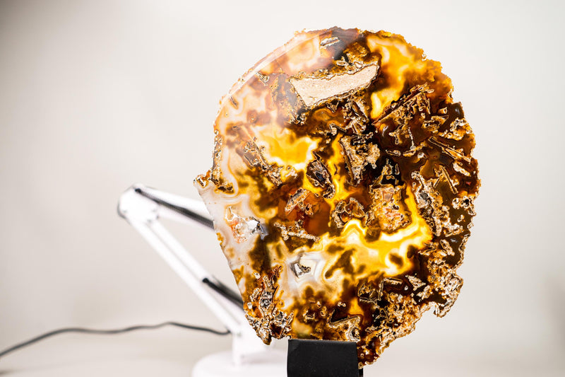 Rare Abstract Agate Slice – All - Natural Yellow, White and Black with Pseudomorph Inclusions, Collection Grade, Intact and Undyed - 700g - E2D Crystals & Minerals