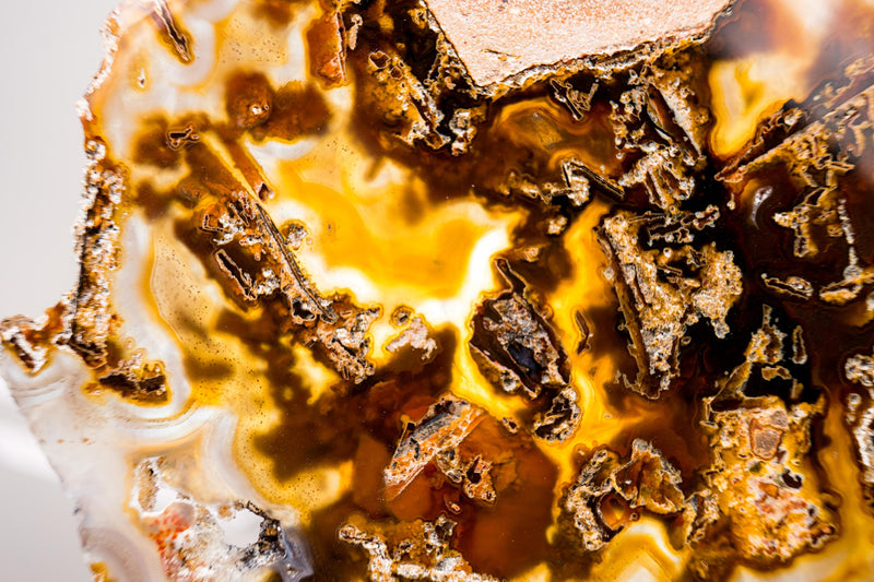 Rare Abstract Agate Slice – All - Natural Yellow, White and Black with Pseudomorph Inclusions, Collection Grade, Intact and Undyed - 700g - E2D Crystals & Minerals