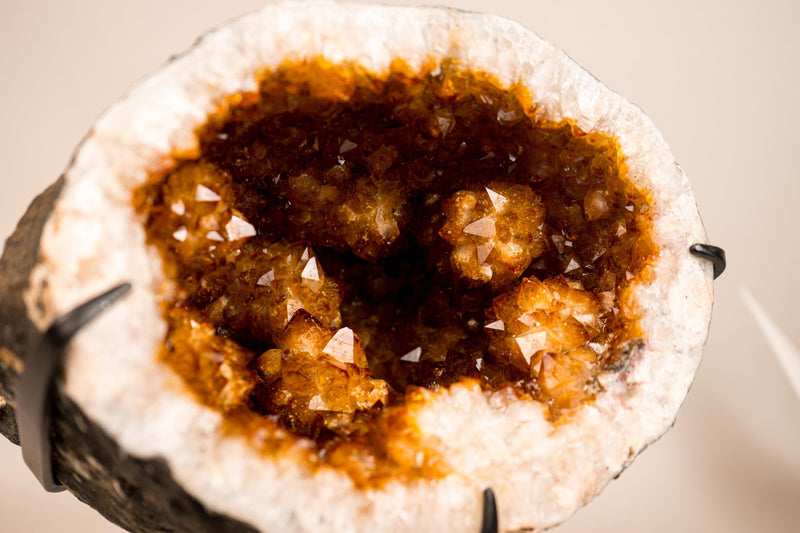 Spectacular Citrine Geode Cave with Rare Golden Flower Rosettes – Natural Deep Orange Crystal Formation, 27 Lb - E2D Crystals & Minerals