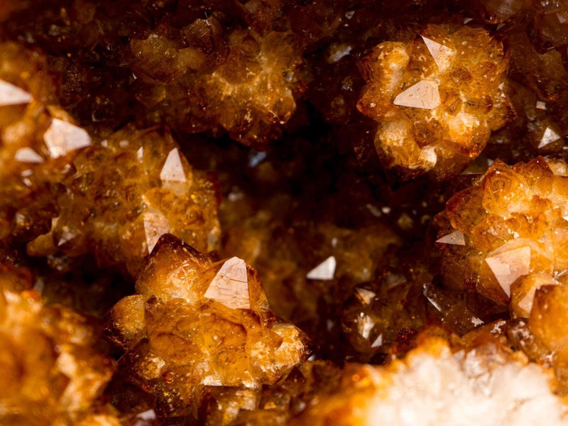 Spectacular Citrine Geode Cave with Rare Golden Flower Rosettes – Natural Deep Orange Crystal Formation, 27 Lb - E2D Crystals & Minerals