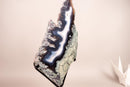 Moss, Blue & White Banded Agate Geode Slice with a Crocodile Drawing - E2D Crystals & Minerals
