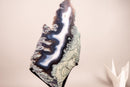 Moss, Blue & White Banded Agate Geode Slice with a Crocodile Drawing - E2D Crystals & Minerals