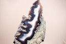 Moss, Blue & White Banded Agate Geode Slice with a Crocodile Drawing - E2D Crystals & Minerals