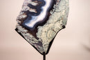 Moss, Blue & White Banded Agate Geode Slice with a Crocodile Drawing - E2D Crystals & Minerals