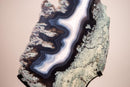 Moss, Blue & White Banded Agate Geode Slice with a Crocodile Drawing - E2D Crystals & Minerals