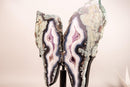 Rare Moss, Blue & White Banded Agate Geode Butterfly Wings - E2D Crystals & Minerals