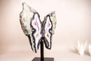 Rare Moss, Blue & White Banded Agate Geode Butterfly Wings - E2D Crystals & Minerals