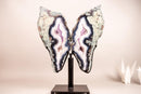 Rare Moss, Blue & White Banded Agate Geode Butterfly Wings - E2D Crystals & Minerals