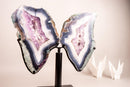 Natural Moss, Blue & White Banded Agate Butterfly Wings - E2D Crystals & Minerals