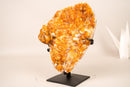 Rare Citrine Cluster with Unique Crystallized Calcite on Stand – Collector’s Specimen - 2.8 Kg - 6.2 lb - E2D Crystals & Minerals