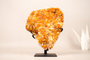 Rare Citrine Cluster with Unique Crystallized Calcite on Stand – Collector’s Specimen - 2.8 Kg - 6.2 lb - E2D Crystals & Minerals
