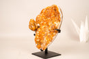 Rare Citrine Cluster with Unique Crystallized Calcite on Stand – Collector’s Specimen - 2.8 Kg - 6.2 lb - E2D Crystals & Minerals