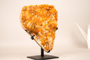 Rare Citrine Cluster with Unique Crystallized Calcite on Stand – Collector’s Specimen - 2.8 Kg - 6.2 lb - E2D Crystals & Minerals