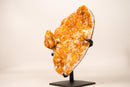 Rare Citrine Cluster with Unique Crystallized Calcite on Stand – Collector’s Specimen - 2.8 Kg - 6.2 lb - E2D Crystals & Minerals