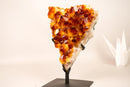 Spectacular AAA Natural Citrine Cluster with Sparkling Madeira Orange Druzy Crystals - 4.0 Kg - 8.8 lb - E2D Crystals & Minerals