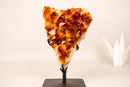 Spectacular AAA Natural Citrine Cluster with Sparkling Madeira Orange Druzy Crystals - 4.0 Kg - 8.8 lb - E2D Crystals & Minerals