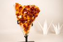Spectacular AAA Natural Citrine Cluster with Sparkling Madeira Orange Druzy Crystals - 4.0 Kg - 8.8 lb - E2D Crystals & Minerals