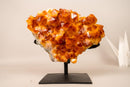 AAA - Grade Natural Citrine Crystal Cluster with Large Sparkling Madeira Orange Druzy, on Custom Stand - 5.8 Kg - 13 lb - E2D Crystals & Minerals