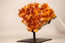 AAA - Grade Natural Citrine Crystal Cluster with Large Sparkling Madeira Orange Druzy, on Custom Stand - 5.8 Kg - 13 lb - E2D Crystals & Minerals