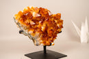 AAA - Grade Natural Citrine Crystal Cluster with Large Sparkling Madeira Orange Druzy, on Custom Stand - 5.8 Kg - 13 lb - E2D Crystals & Minerals