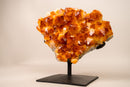 AAA - Grade Natural Citrine Crystal Cluster with Large Sparkling Madeira Orange Druzy, on Custom Stand - 5.8 Kg - 13 lb - E2D Crystals & Minerals