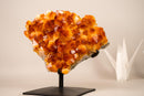 AAA - Grade Natural Citrine Crystal Cluster with Large Sparkling Madeira Orange Druzy, on Custom Stand - 5.8 Kg - 13 lb - E2D Crystals & Minerals