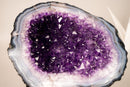 All - Natural Purple Amethyst Geode Framed by Polished Blue Lace Agate - Geode Cave Format - 6.2 Kg - 14 lb - E2D Crystals & Minerals