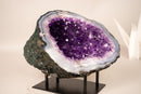 All - Natural Purple Amethyst Geode Framed by Polished Blue Lace Agate - Geode Cave Format - 6.2 Kg - 14 lb - E2D Crystals & Minerals