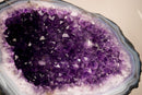 All - Natural Purple Amethyst Geode Framed by Polished Blue Lace Agate - Geode Cave Format - 6.2 Kg - 14 lb - E2D Crystals & Minerals