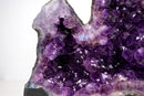 Twin Amethyst Geode Cave with Large, Deep Purple Druzy Crystals, High - Grade Brazilian Amethyst - 54 Lb - E2D Crystals & Minerals